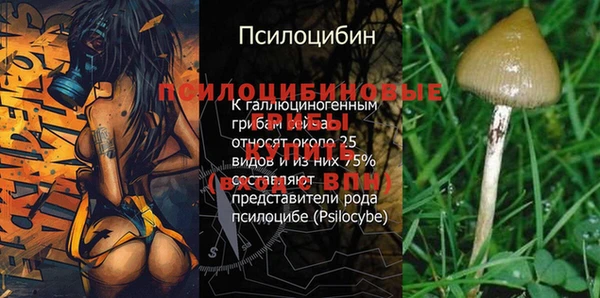 гашик Бугульма