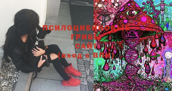 MESCALINE Бородино