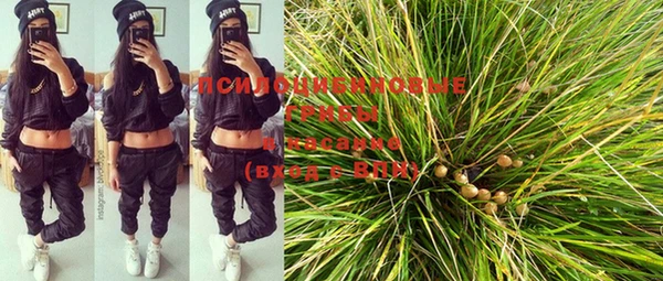 MESCALINE Бородино