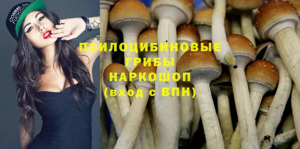 герыч Бронницы