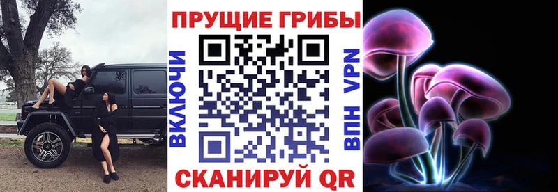 Купить  Дзержинск  Галлюциногенные грибы Cubensis 